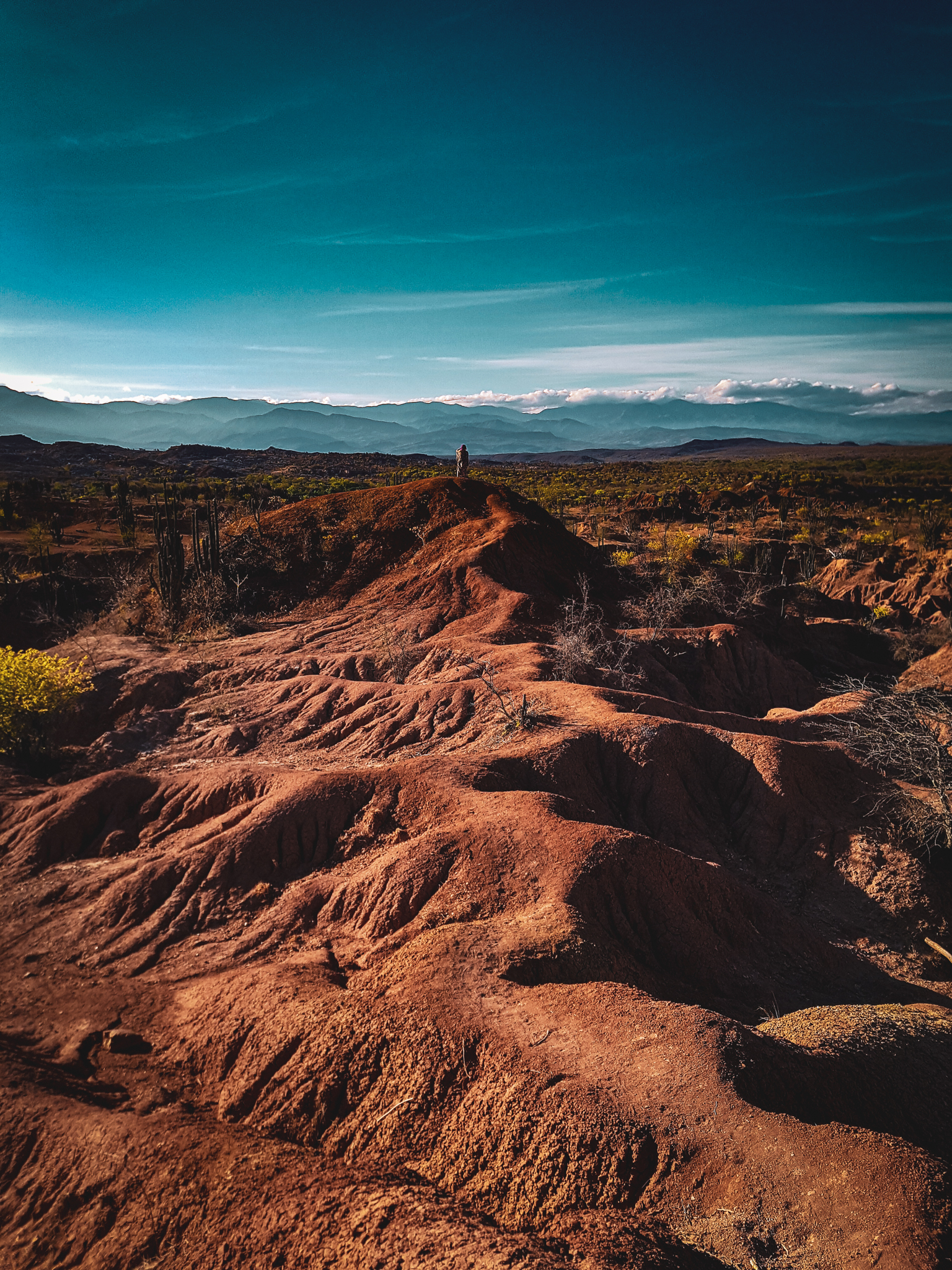 Tag5_080919_DesiertoTatacoa4_2